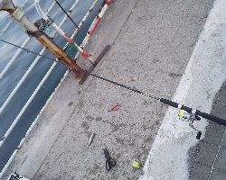 サビキでサクっと