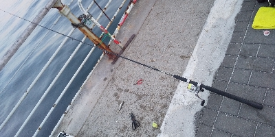 サビキでサクっと