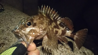 釣れない時期の釣り方