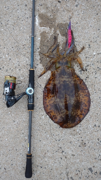 半日だけエキング