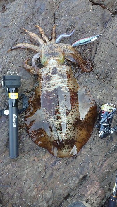 仕事で出張エキング