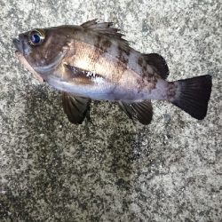 フロートしばり