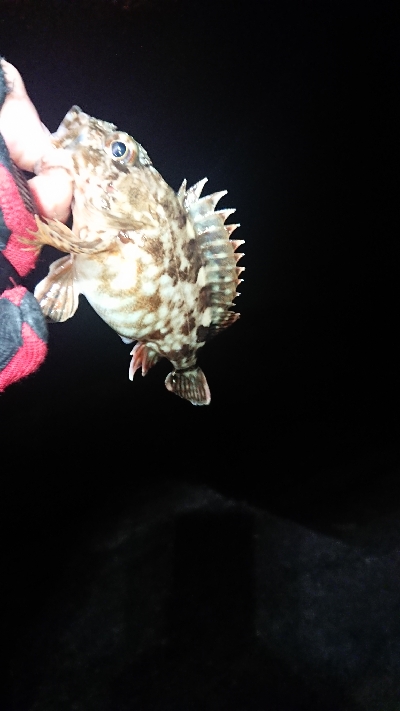 シャローエリアにて