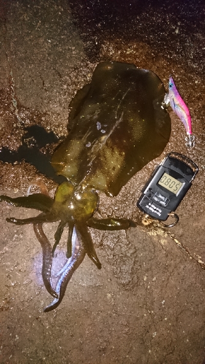 元気よし！水温よし！