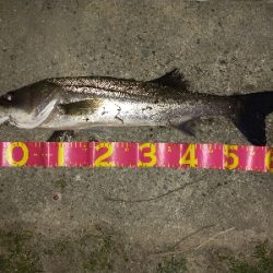 カラーチェンジが吉