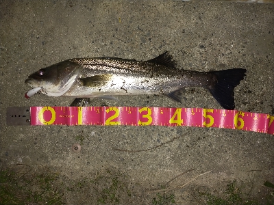 カラーチェンジが吉