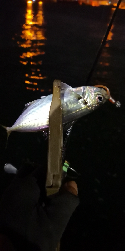 アジング練習 104