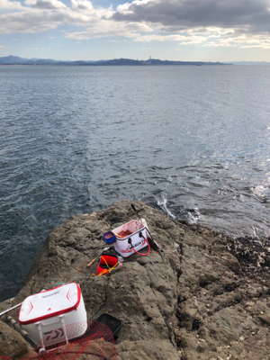 寒グレ&寒チヌ   フカセ釣り