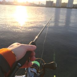 淀川ブリームゲーム 2020初釣果