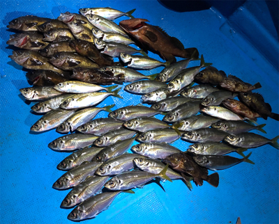 ボートアジング.メバリング /タツ建丸