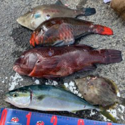 御五神　沖磯釣り