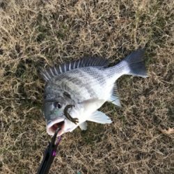 グッドモーニング