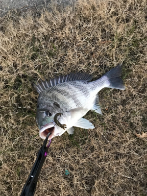 グッドモーニング