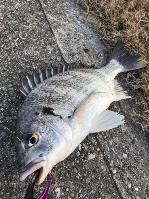 早起きは3枚の徳