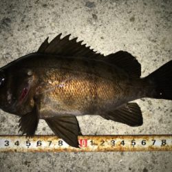 2020ライトゲーム第6戦