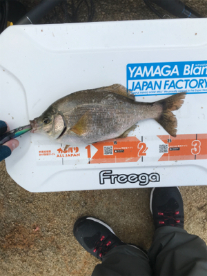 尾道沖磯フカセ