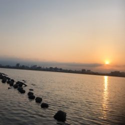 マゴチ狙って…