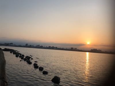 マゴチ狙って…