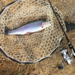 初めての管理釣り場