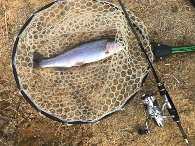 初めての管理釣り場