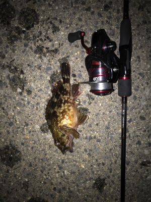 ガッシーとフィッシングショー！