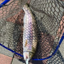 さいたま水上公園プール