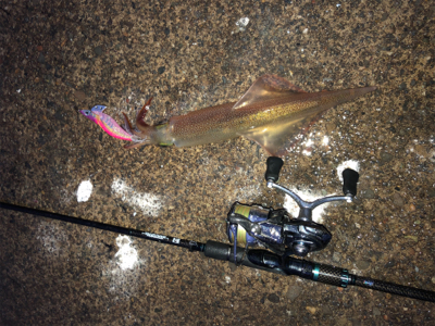 雨、雪が降ろうが、ヤリが降ろうが(^^)