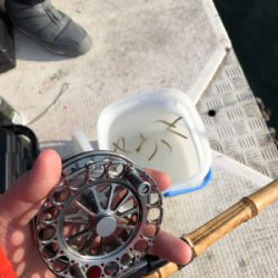 初ワカサギ釣り