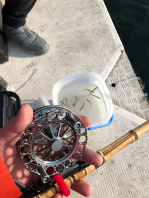 初ワカサギ釣り