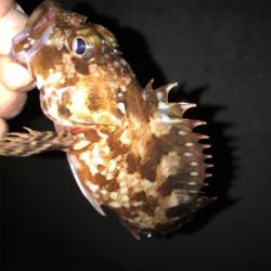 調子が良くなってきた!