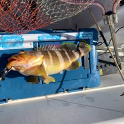 今年初のマイボート釣行