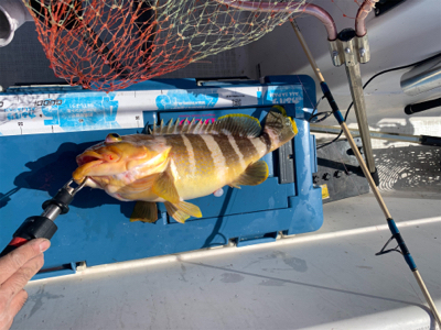 今年初のマイボート釣行