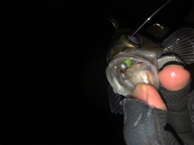 タフコンディション