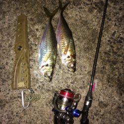 ライトゲームにゃキツイ時期ですなぁ