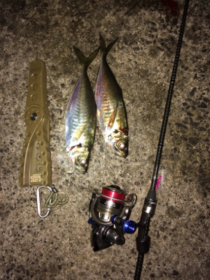 ライトゲームにゃキツイ時期ですなぁ