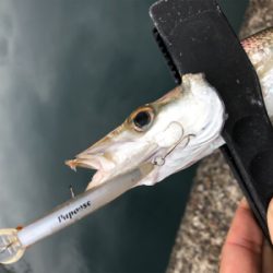 ライトゲーム♪