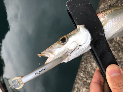 ライトゲーム♪