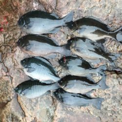 ヘタクソ釣行記　その1