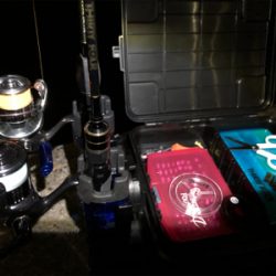 アジング 良型が2月半ばなのにどこでも釣れる