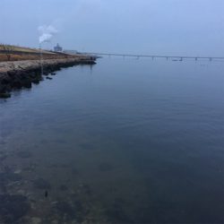 淀川ブリームゲーム 地合