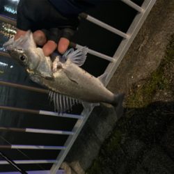 チーバスに救われる