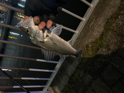 チーバスに救われる