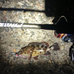 短時間メバリング