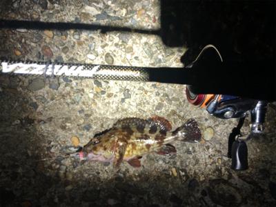 短時間メバリング