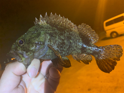 型がよくなってきた