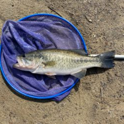 寒い中の１匹！！