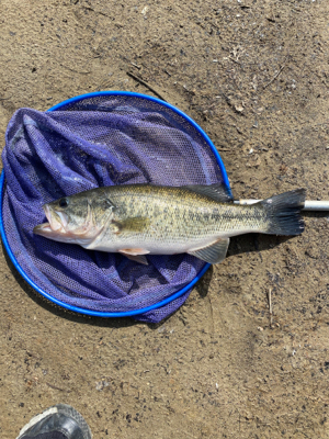 寒い中の１匹！！