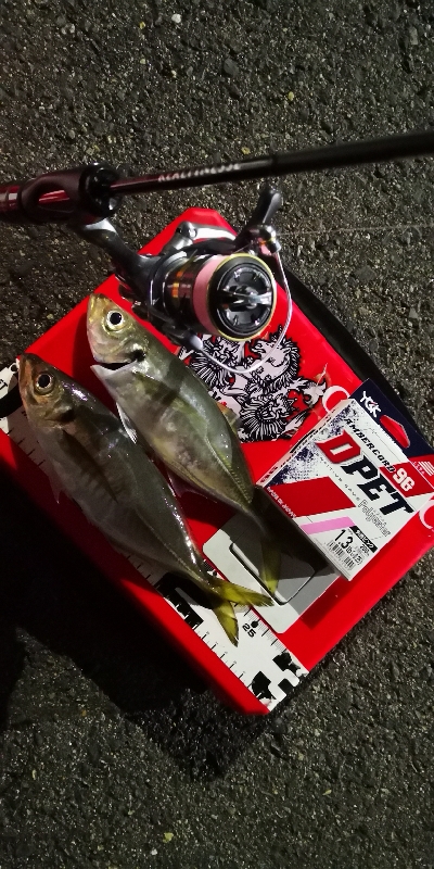 アジング練習 115