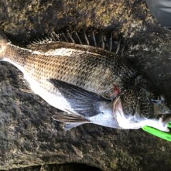 銭撒くダケ釣り！