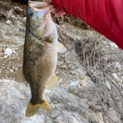 暖かい日差しが続くので釣りに行きました！！